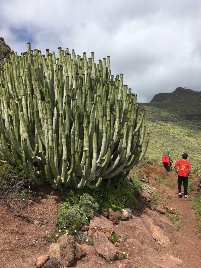 Casa Manel, La Gomera Сан-Себастьян-де-ла-Гомера Экстерьер фото